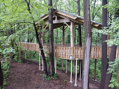 Big Chessie Treehouse